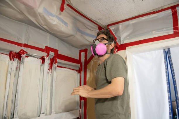 Best Crawl Space Mold Remediation  in Flanders, NY
