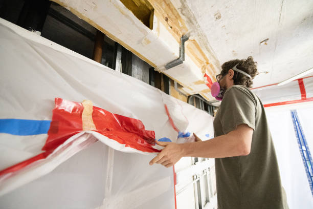 Best Basement Mold Removal  in Flanders, NY