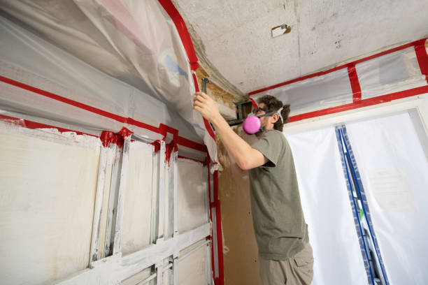 Best Industrial Mold Remediation  in Flanders, NY