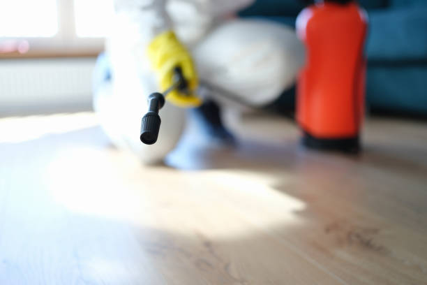 Best Mold Remediation for Rental Properties  in Flanders, NY