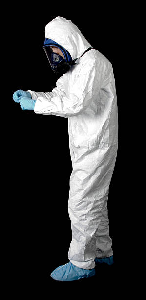 Trusted Flanders, NY Mold Removal Experts
